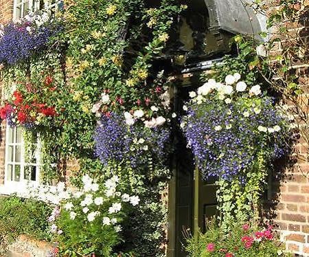The Alvanley Arms - Inn Cotebrook Exterior foto